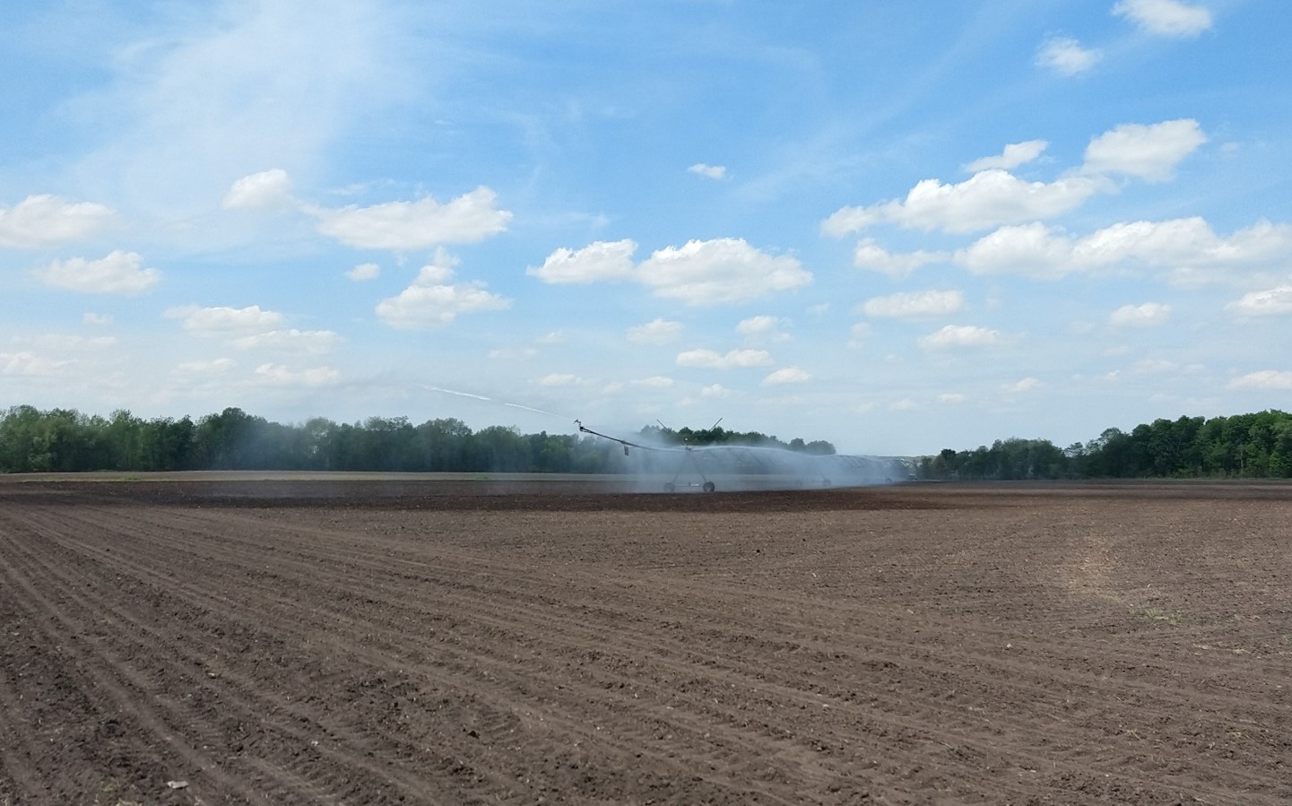 Recently planted field